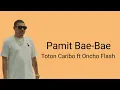 Lagu lirik Toton Caribo ft Oncho Flash - Pamit Bae - Bae