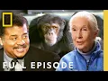Download Lagu Jane Goodall: Discussing Chimpanzee Behavior (Full Episode) | Startalk | National Geographic