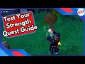 Test Your Strength Quest Guide in Disney Dreamlight Valley