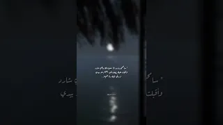 نور على نور شريف مصطفى 