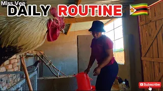 Daily Life In Zimbabwe Village Feeding Training 