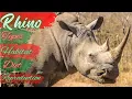 Rhinoceros - Introduction to Rhino Rhino Species Rhino Habitat Rhino Diet Rhino Reproduction