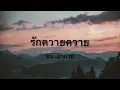 รักควายควาย - มิน เฉาก๊วย ( เนื้อเพลง )
