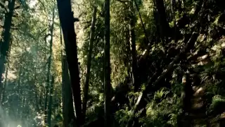 محمود درويش تنسى كأنك لم تكن 