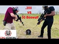 308 vs 50 Beowulf - penetration test