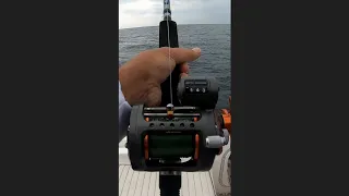 Salmon and Trout fishing Lake Ontario @ACRFishingAdventures #shorts