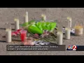 911 calls released after 29-year-old shot killed in Volusia County