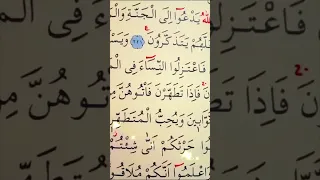 سورة البقرة الأية     القارئ مشاري راشد العفاسي دندنها