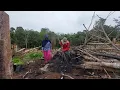 Download Lagu Menanam cabai bersama ibu uban melanjutkan memanen cabai di kebun