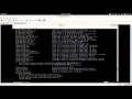 11 Msfpayload