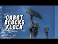 Cabot Arkansas Suspends Use of Flock Cameras