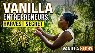 Women in Agribusiness: The Vanilla Journey