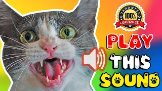 Download Cat sounds to scare mice away ⭐ Rats will go away 🐁 cat sound effect MP3
