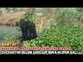 Download Lagu MANTAP‼️KALI MATI MASIH TERTUTUP ECENG GONDOK EXCAVATOR BELUM SANGGUP BUKA ALIRAN KALI CIKARANG #kdm