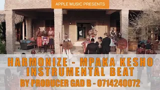 Harmonize Mpaka Kesho Instrumental Beat By Producer Gad B 