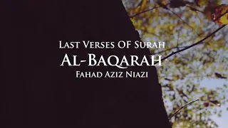 Last 2 Verses Ayaat Surah Al Baqarah Fahad Aziz Niazi أواخر سورة البقرة فهد عزيز نيازي 