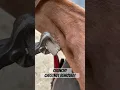 Horse needs its crunchy chestnut removed by a farrier
