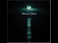 Band of horses - The General Specific.wmv