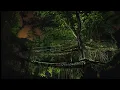 Jónsi & Alex Somers - Indian Summer {Live at Sydney Opera House} [Snippet] HQ