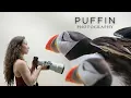 Download Lagu Puffin Photography, Farne Islands, England | Fujifilm X-H2s + XF500mm