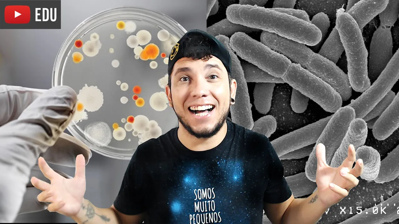 Aula 12: Genética Bacteriana e Proteínas de Resistência.