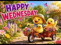 Happy Wednesday Cute Beautiful Wednesday Wishes to Brighten Your Day