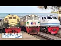 RAMAINYA KERETA API SUPER NGEBUT DI STASIUN PLABUAN PANTAI UTARA! Ada Lokomotif Vintage \u0026 Garis Biru