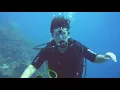Download Lagu Curacao Aquanauts @ Palapa Beach