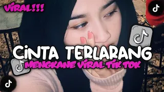 dj sesungguhnya kasih sayangku tiada batas style kondang candu mangkane viral tik tok