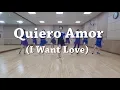 Download Lagu Quiero Amor (I Want Love)Line Dance-( Ira Weisburd)