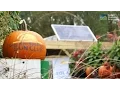Green Mountain Energy Sun Club and PHS Meadowbrook Farm in Philadelphia