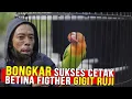 Download Lagu BONGKAR RAHASIA CETAK BETINA FIGTHER GIGIT RUJI