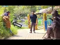Download Lagu Ada apa dengan mereka..!! prank patung..!!!