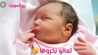 مياده قمر الدين ان شاء الله بت 