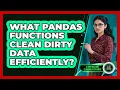 What Pandas Functions Clean Dirty Data Efficiently - AI and Machine Learning Explained