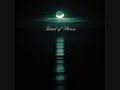 The General Specific - Band of Horses