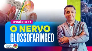 THE GLOSSOPHARYNGEAL NERVE I EP.: 53