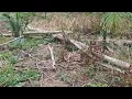 Download Lagu Jejak langkah buruh kasar /buruh tani 