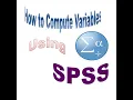 How to Compute Variables Using SPSS Amharic Lecture