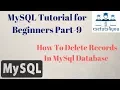 Mysql Tutorial For Beginners Part 9 How To Delete Records In Mysql Database Hindi english