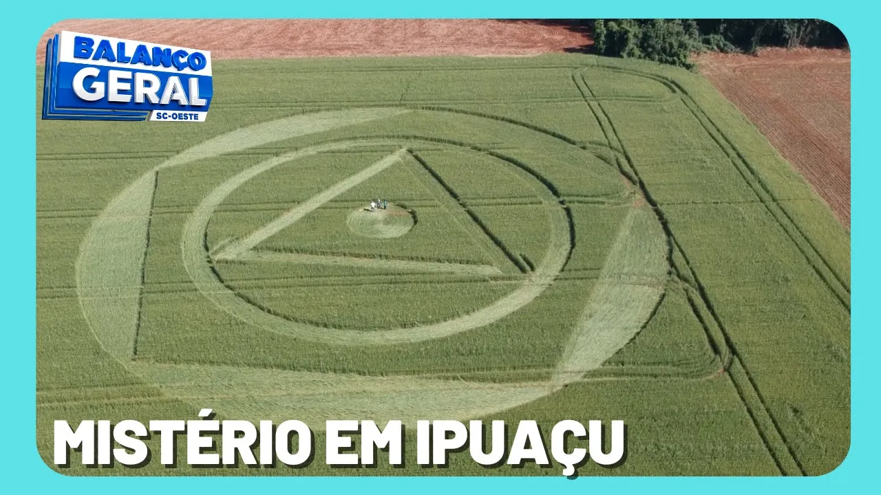 Agroglifos aparecem em plantação de trigo na cidade de Ipuaçu