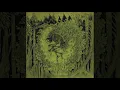 ARBORICIDIO "What we leave behind" LP (full album)