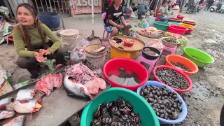 របៀបចំណាំខ្យងស្រែ ក្តាមស្រែ How to see snails sre and crabs sre