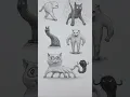 How To Draw Cats