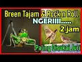 Download Lagu Masteran Belalang Raja VS Gereja Tarung Gacor Ngerol  Rapat Kasar Jeda Suara Air Durasi Panjang