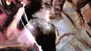 Flawed Mangoes Mindgame Visualizer 