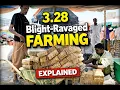 POE 3 28 Analysis and comparison of the best Blight-Ravaged map strategies in 3 28