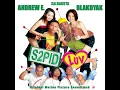 Stupid Love