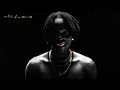 hell and back (Official Visualizer) - Fireboy DML