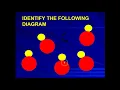 2 4 Matter particle diagrams